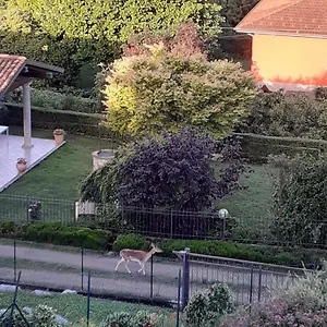  Bed & Breakfast La Civetta Italië